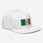 Gorra Plana de Mexico, Gorra bordada con bandera de Mexico, snapback hat with the Mexican Flag