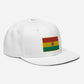 Gorra de Bolibia, Gorra Plana bordada con Bandera de Bolibia, snapback hat with bolivian flag
