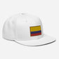 Gorra plana bordada con Bandera de Colombia, snapback hat with Colombian Flag embroidered